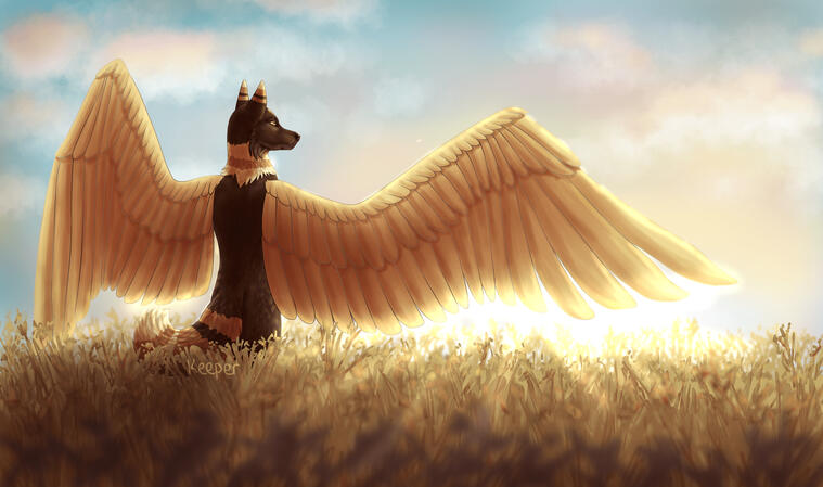 Shaded with background